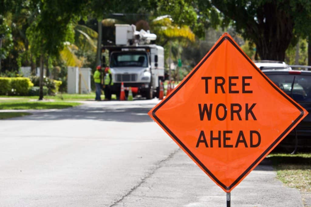 Orange sign in front of tree workers